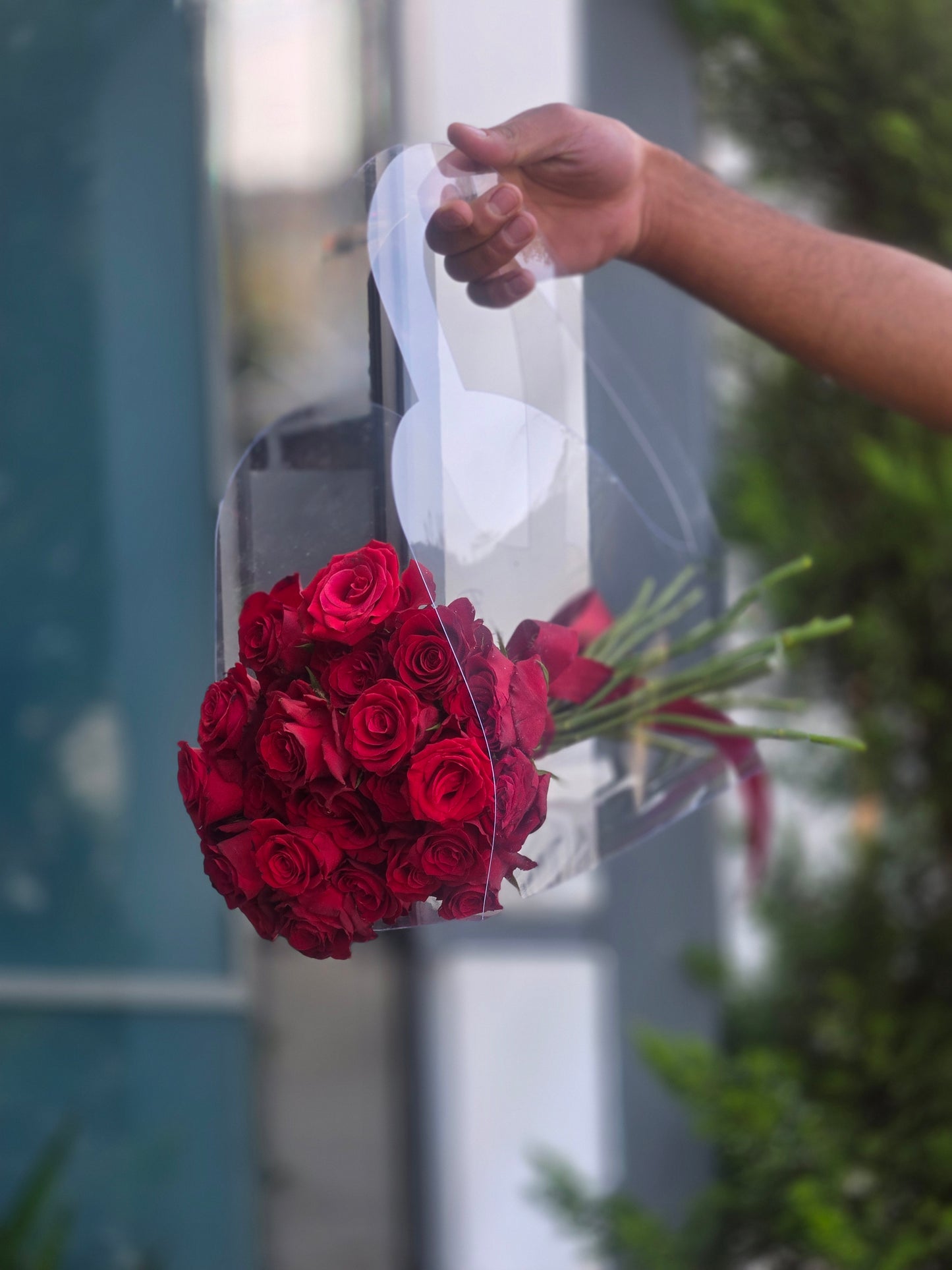 THE BAG OF LOVE