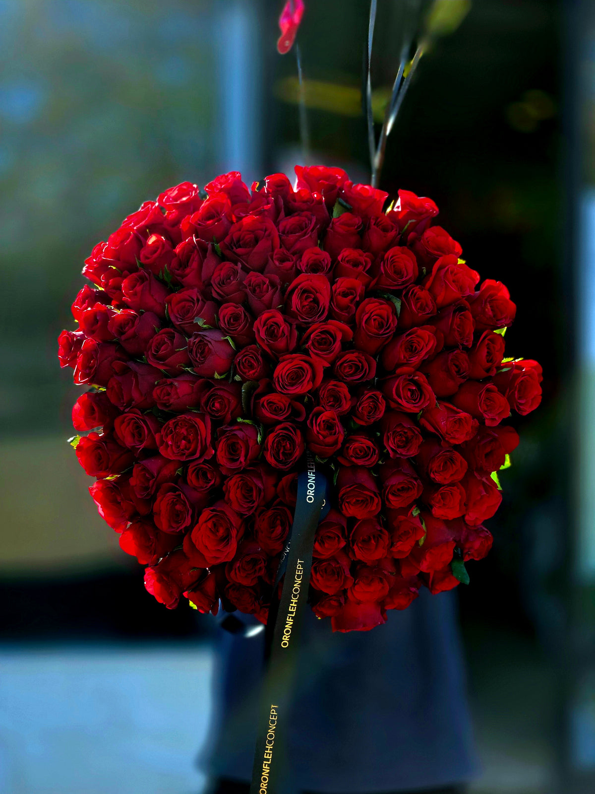 RED DEVOTION