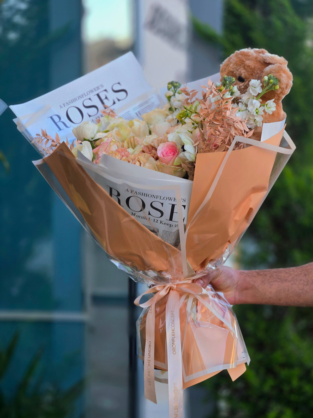 BLUSH & BEAR