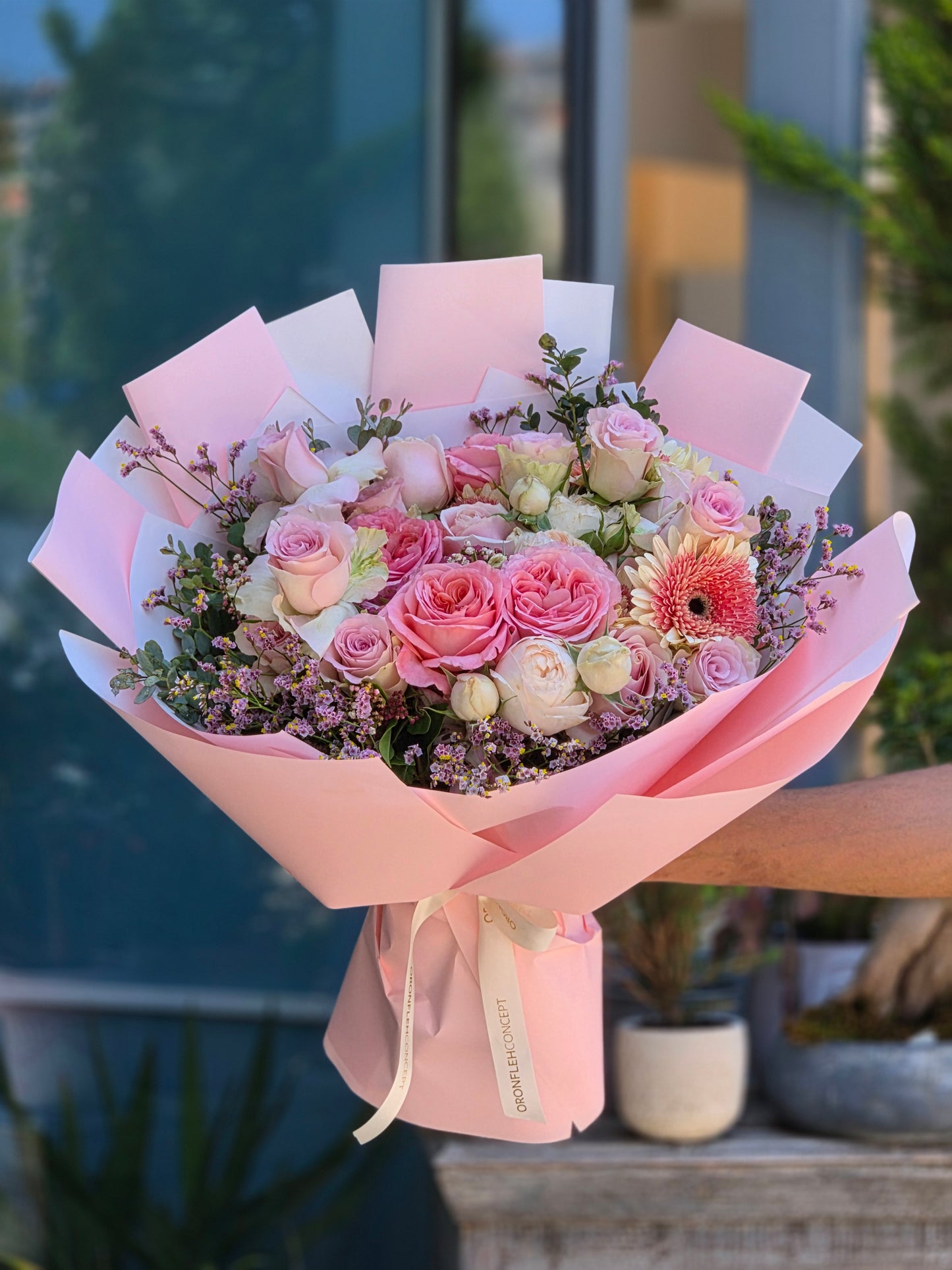 BLUSH STORY