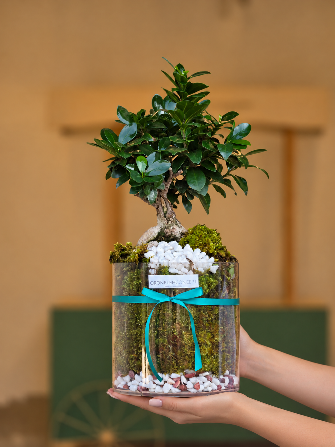 Emerald Zen Bonsai
