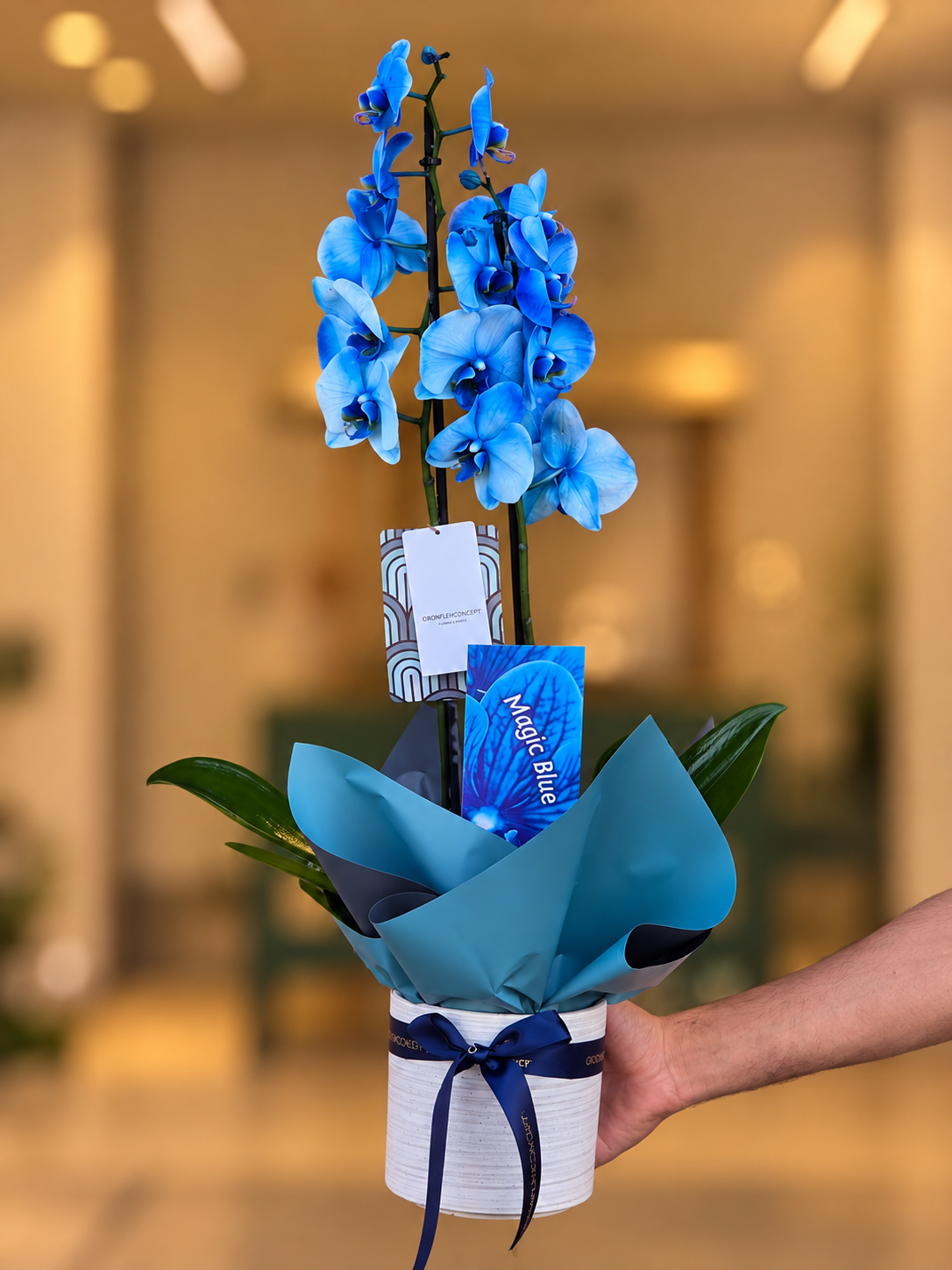 Magic Blue Orchid