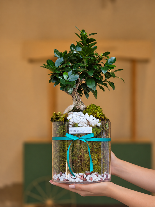 Emerald Zen Bonsai