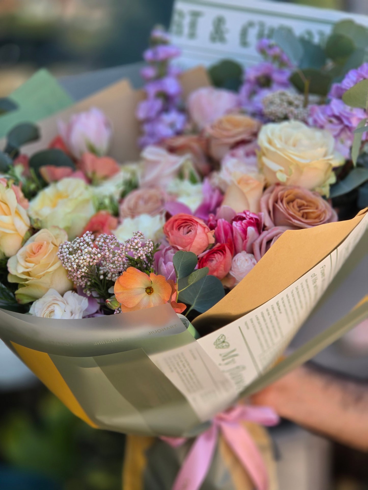 SPRING BLUSH